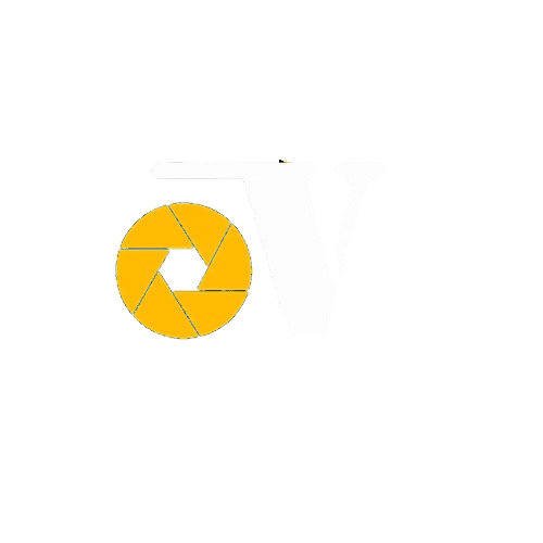 PunctualVideo Logo